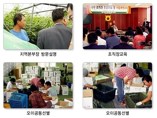 친환경농업 대표 이미지