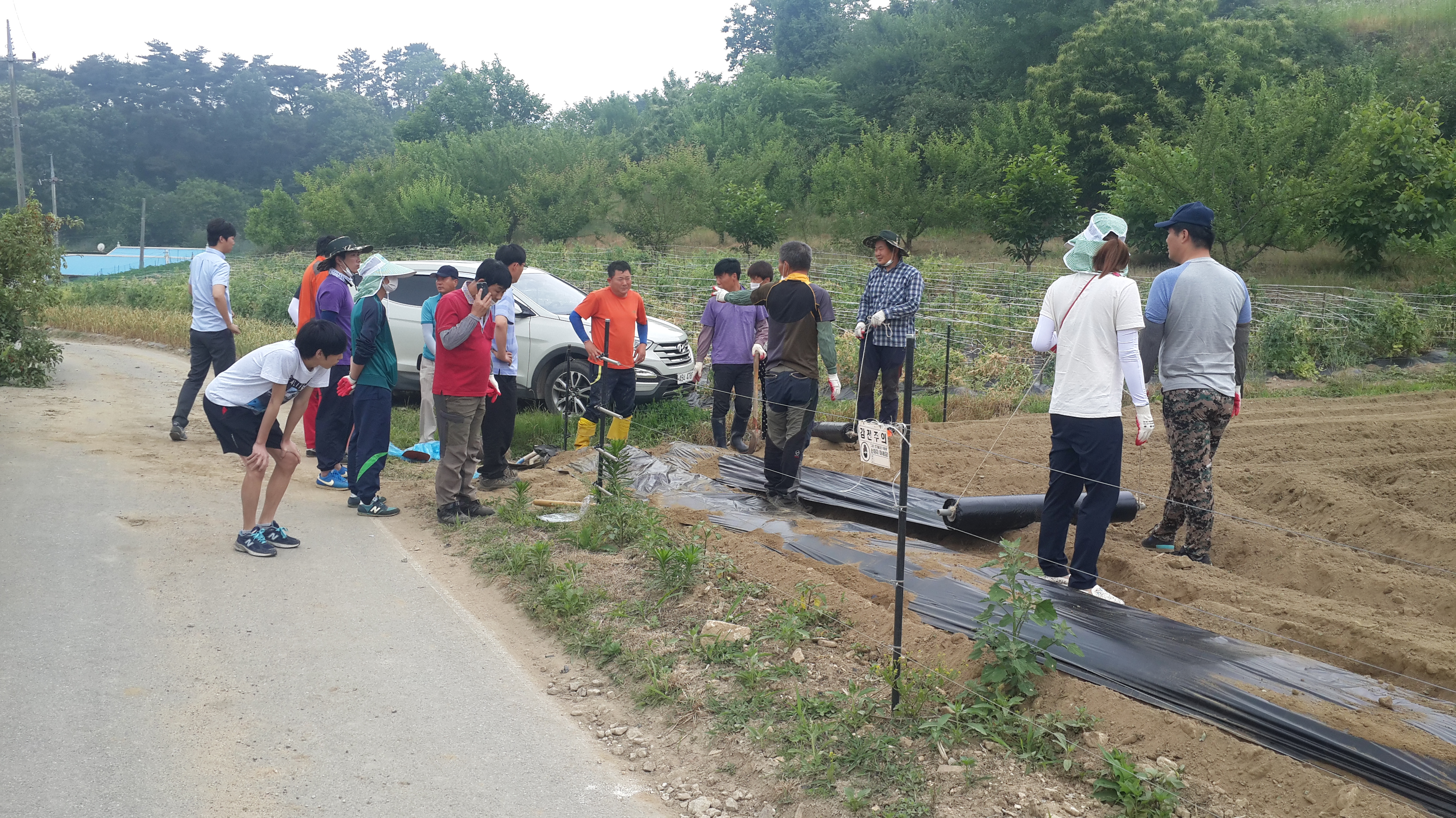 농촌 일손돕기 봉사활동 전개 대표 이미지